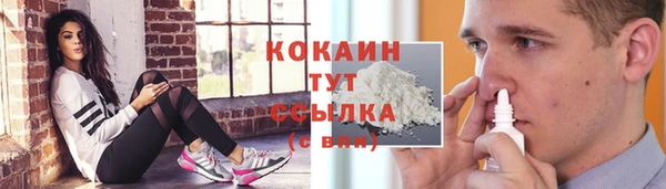 PSILOCYBIN Балахна