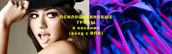 первитин Белокуриха