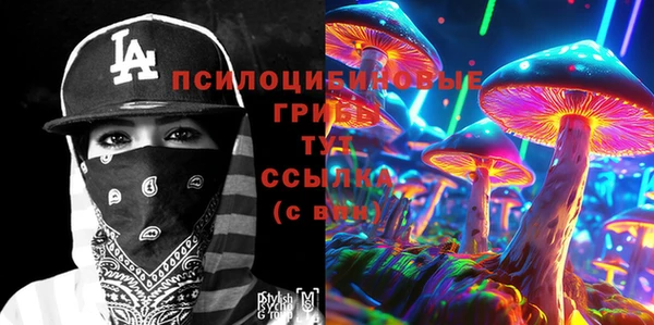 первитин Белокуриха