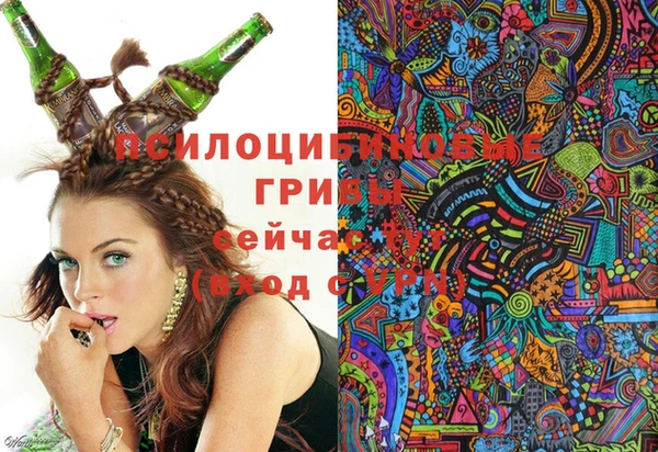 гидропоника Балабаново