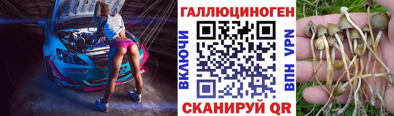 Галлюциногенные грибы GOLDEN TEACHER  Воркута 