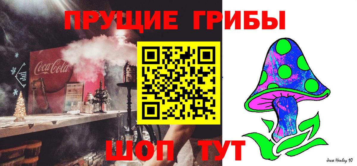 Воркута  Галлюциногенные грибы Psilocybe  Вход с VPN 